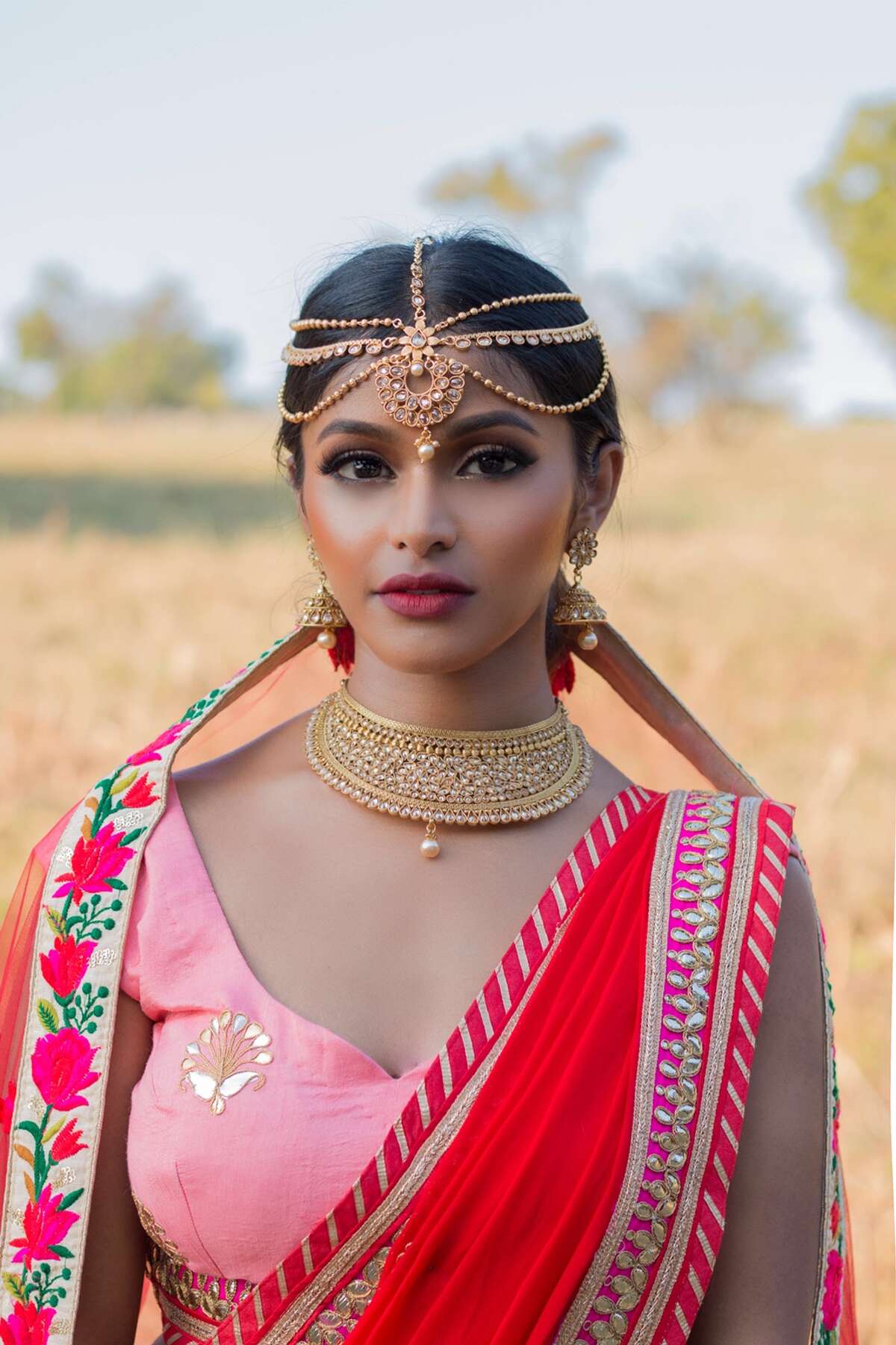 Dallas resident and model Sruthi Jayadevan flawlessly shuts down social media trolls demanding she tones down her Indian style. Her response? More photos appreciating her culture.
