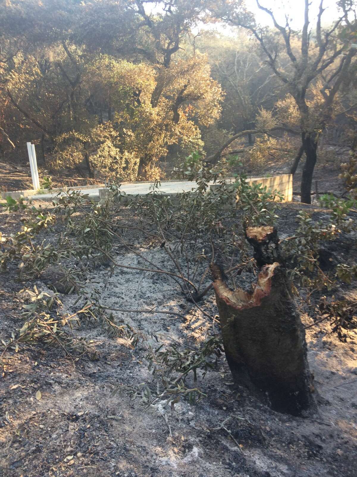 As everything around him burned, one Napa man's house somehow survived