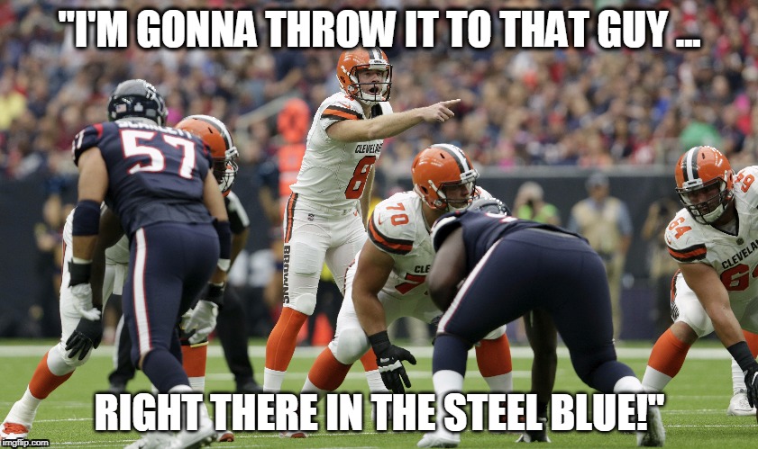 Cleveland Browns Memes  Browns memes, Cleveland browns, Dallas cowboys  football team