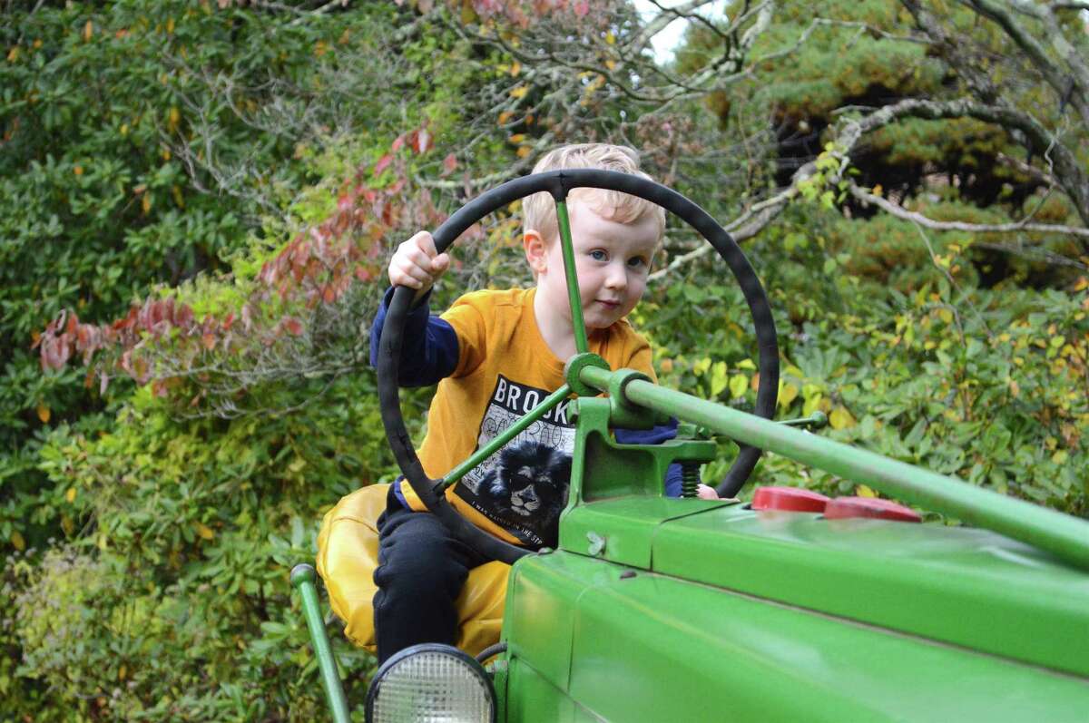 In Pictures Fall Fair held in New Canaan