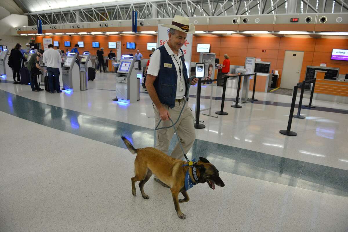 Airport Ambassador Benjamin Bott walks with Helo as part of the Pups and Planes program at the San Antonio International Airport.