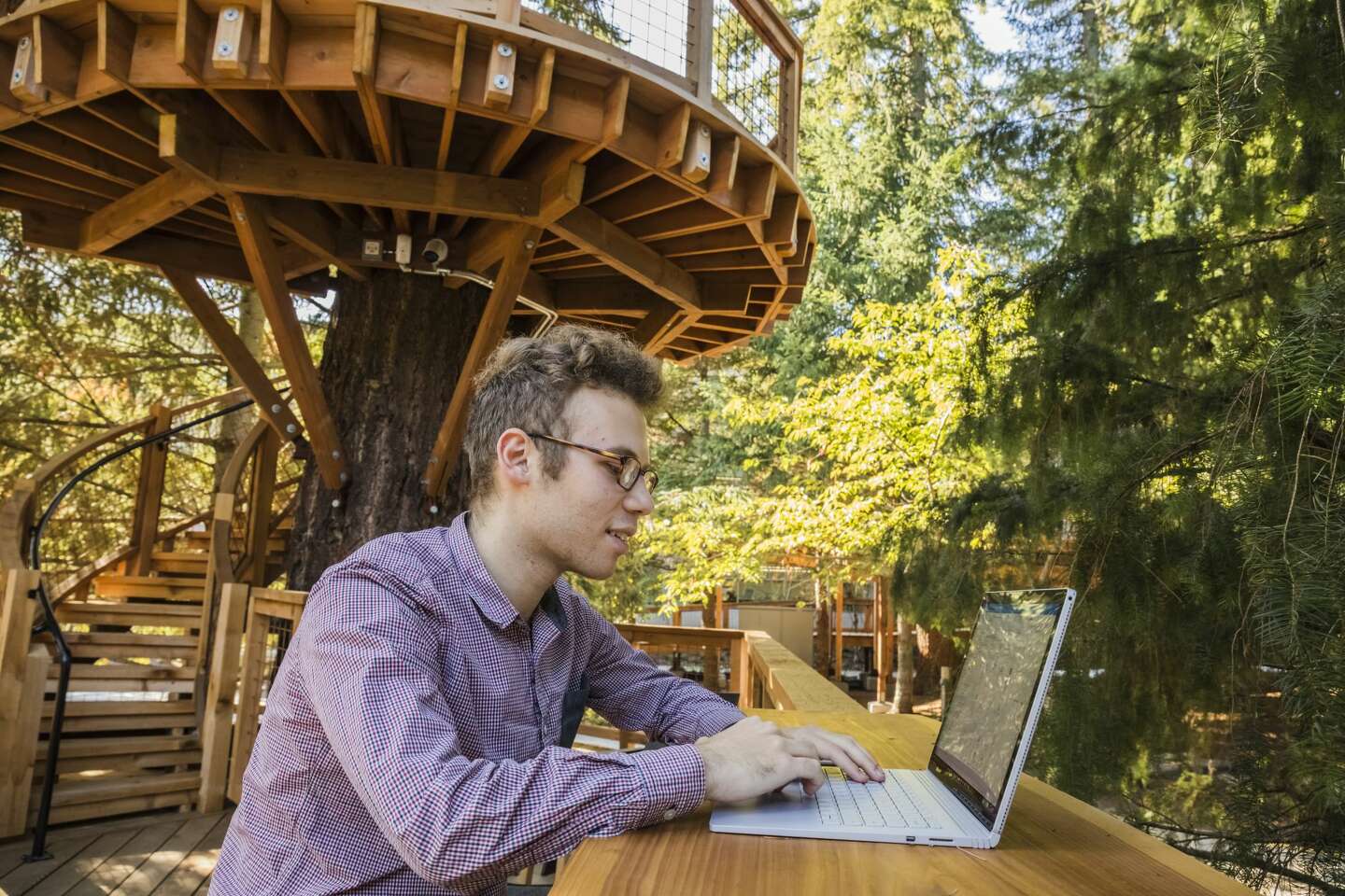 Check out Microsoft's new tree house meeting spaces