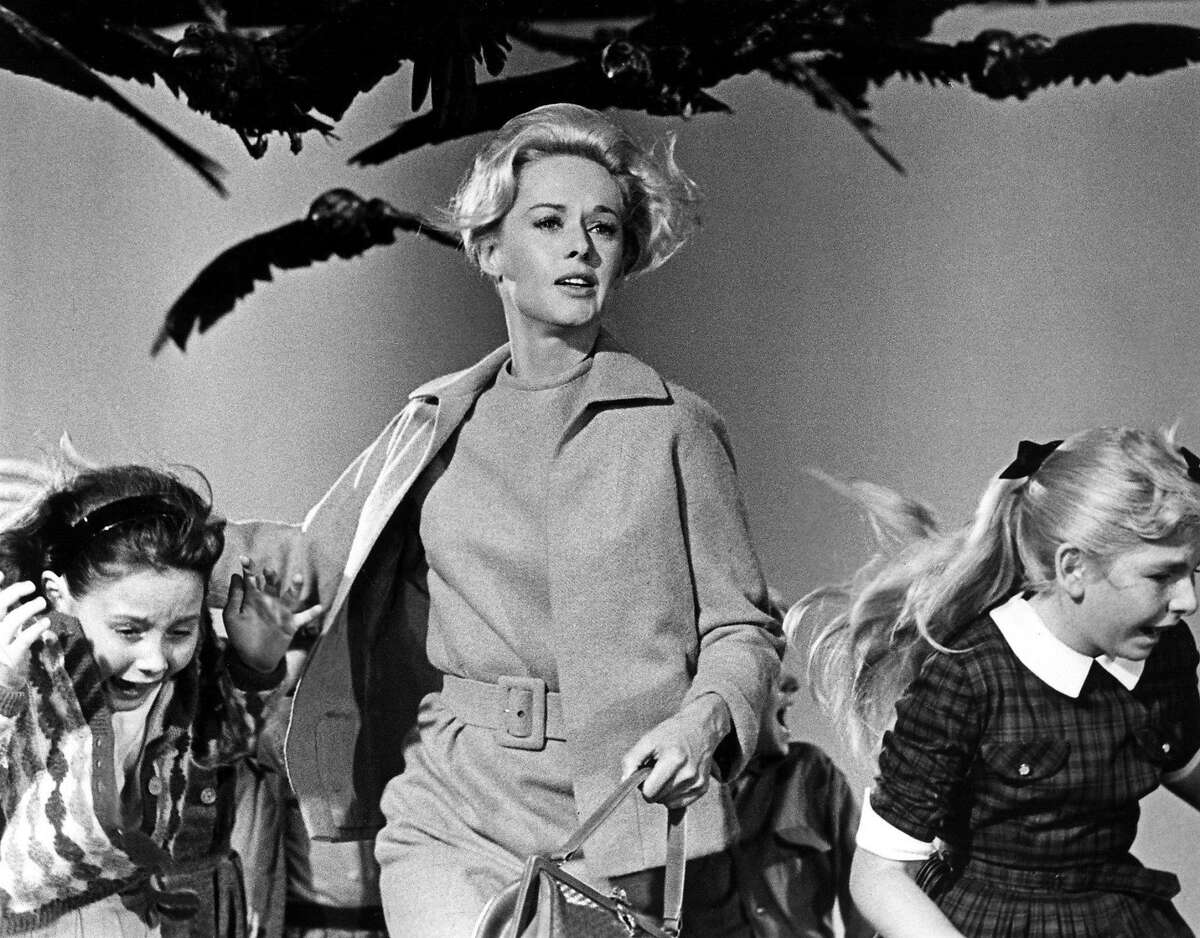 阿尔弗雷德·希区柯克(Alfred Hitchcock)的《群鸟》(The Birds)，蒂皮·海德莉(Tippi Hedren，中)主演。
