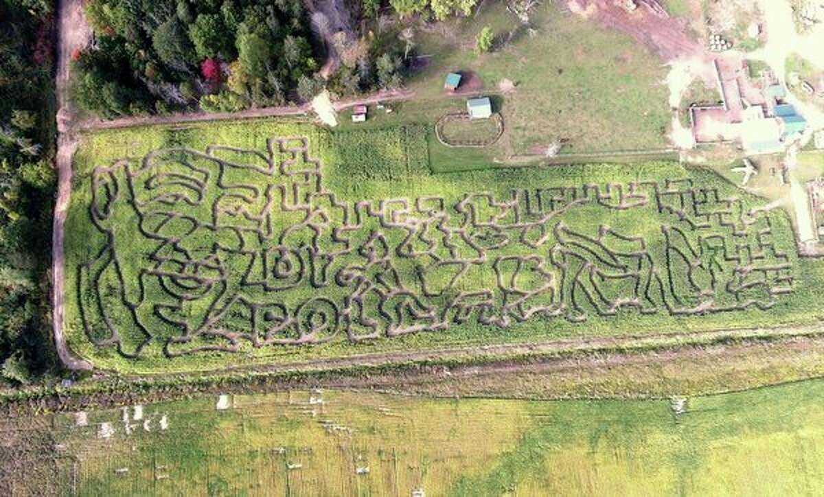Dr. Jan Pol, whose TV reality series details goings-on at his central Michigan veterinary practice, is the topic of this year's corn maze at Grandma's Pumpkin Patch on Eastman Road in Midland. The corn maze is open Wednesdays, Saturdays and Sundays though Oct. 29. (photo provided)  
