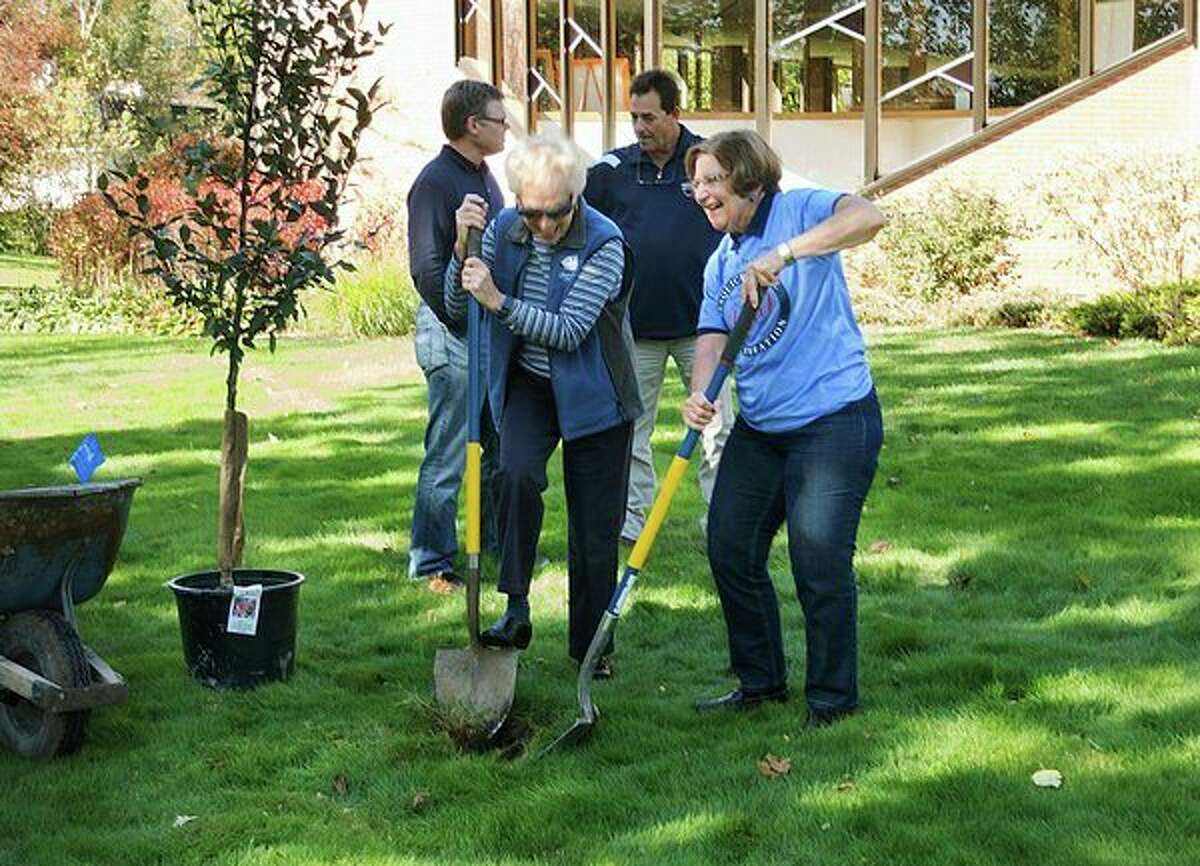 Carole Adams, Anniversary Committee Co-Chair with St. John's Episcopal Church, right, and Faye Ebach, Anniversary Committee Co-Chair with St. John's Episcopal Church, left, dig a hole to plant a crabapple tree in celebration of the church's 150th anniversary on Tuesday in Midland. (Roger Bryant/Midland Daily News)