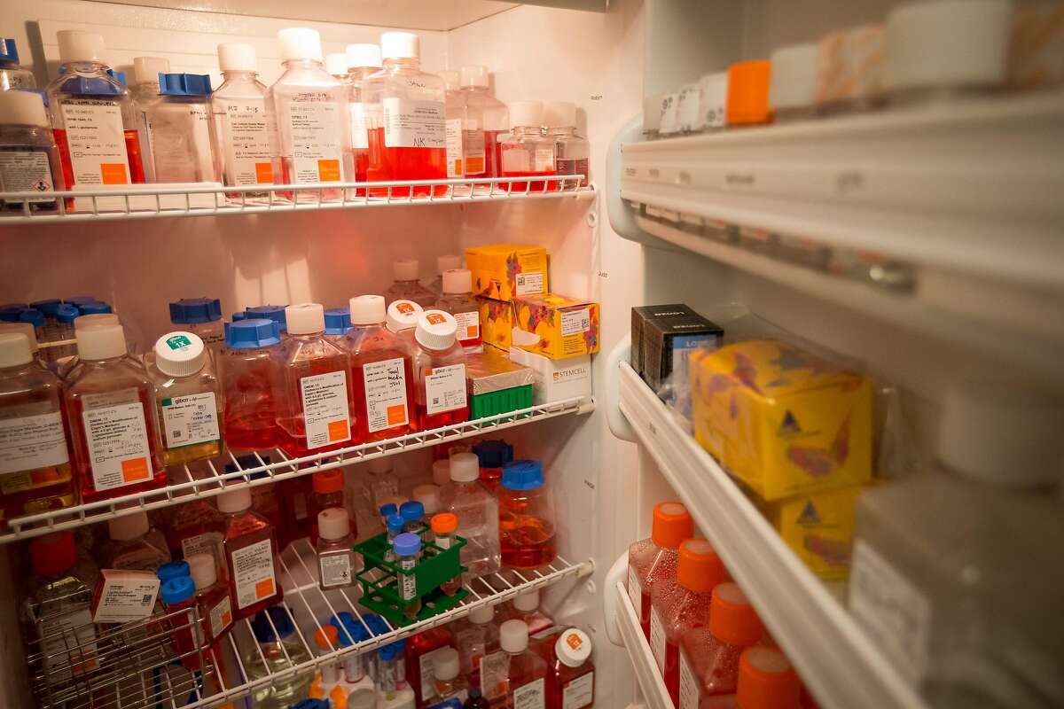 A refrigerator filled with tissue culture supplies is seen in a lab at the UCSF Gladstone Institutes facility in San Francisco, Calif., on Thursday, Oct. 19, 2017. A team of genetics and infectious disease researchers there received a three-year grant from Gilead Sciences to work on CRISPR technology. They're hopeful this could one day lead to a cure for HIV.