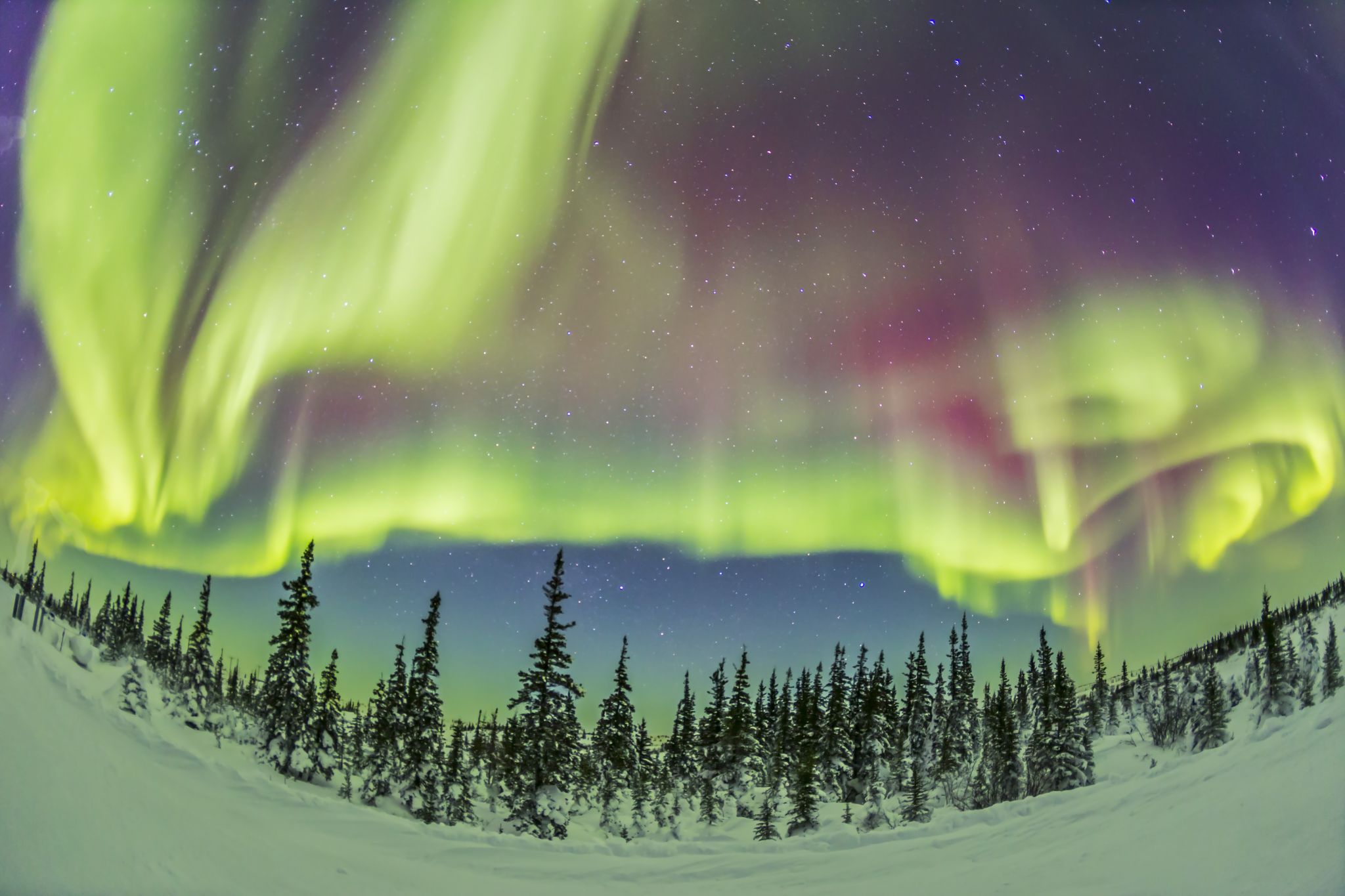 The Northern Lights in Winter, Churchill, Manitoba, Canada загрузить