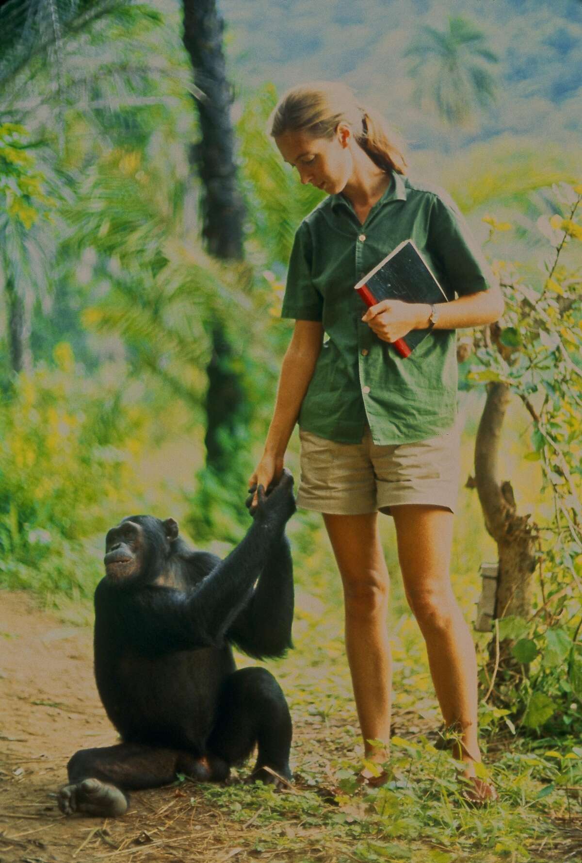 My Life with the Chimpanzees by Jane Goodall