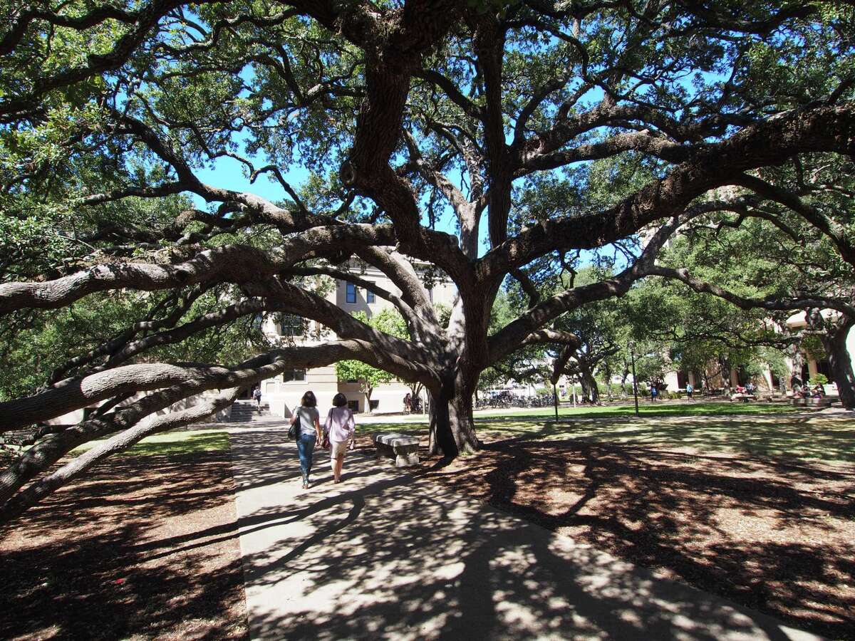 Colleges with the largest endowments