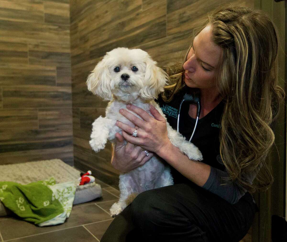 Veterinarian and owner Cassi Pettyjohn plays with a dog at Pet Resort on South Loop 336, Wednesday, Oct. 25, 2017, in Conroe. In addition to offering full veterinarian services with dentistry, surgery, wellness care and emergency care, the new business offers clients grooming, play day options, and boarding services.