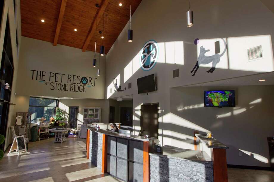 Conroe luxury pet resort grand opening Saturday The Courier