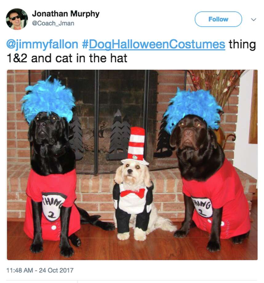 Jimmy Fallon's Halloween dogs are insanely cute and clever SFGate