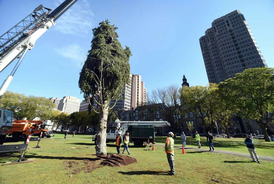 New Haven tree lighting partnership presents media challenges - New ...