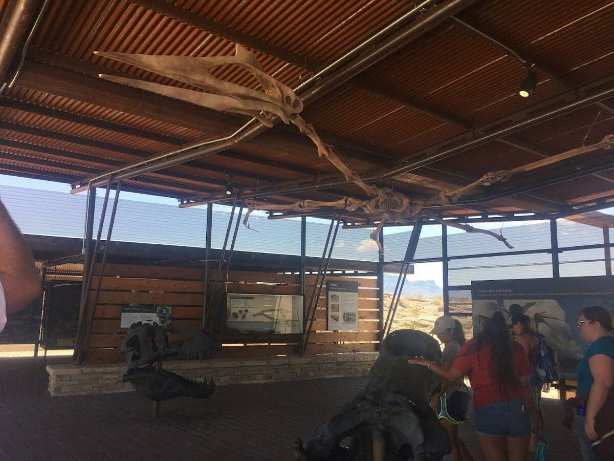 Dinosaurs take over Big Bend at fossil exhibit