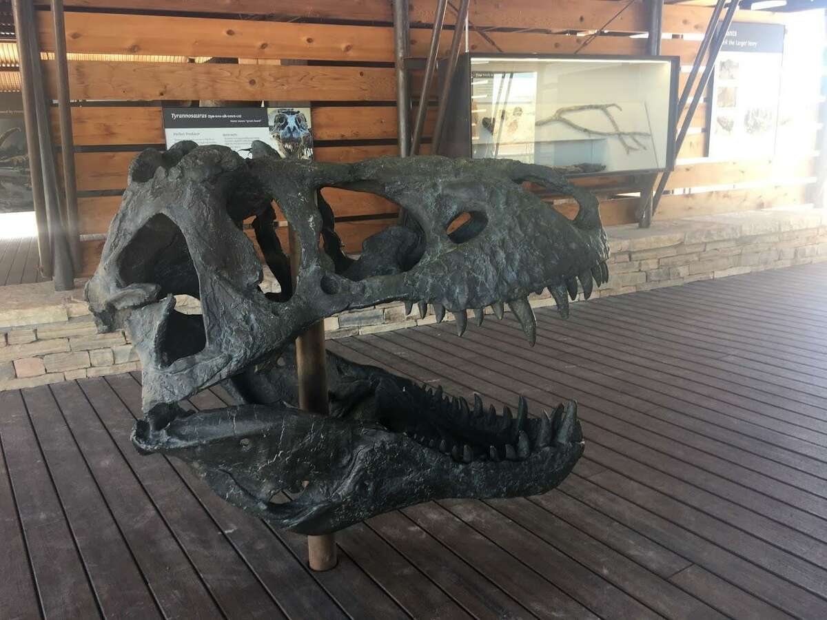 Dinosaurs take over Big Bend at fossil exhibit