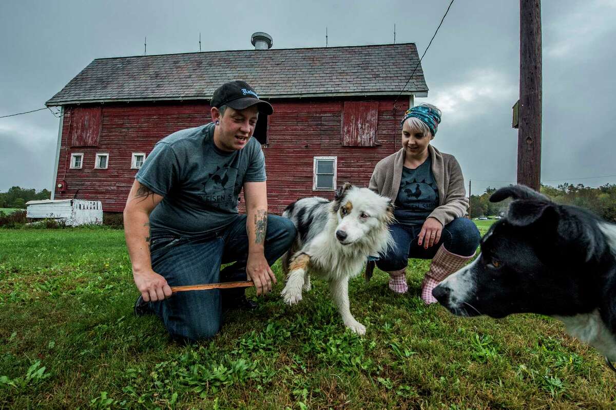 Ejay and Kim Eisen, right entertain their two pups Rio the Aussie and Swanson the Border at their R'Eison Shine Farm Monday Oct. 9, 2017 in Schagticoke, N.Y. (Skip Dickstein/Times Union)