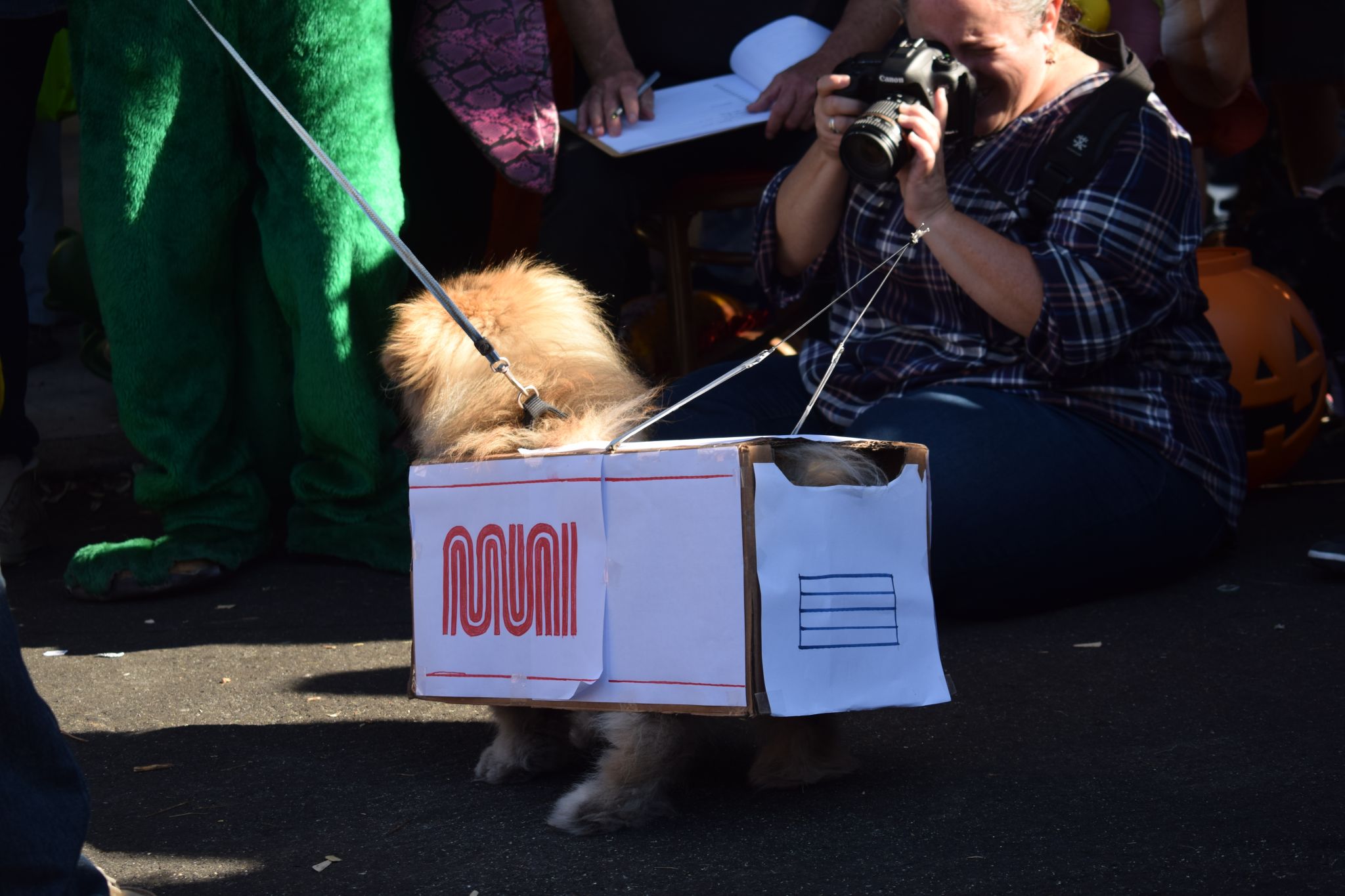 Cut4 on X: The @SFGiants held a dog costume contest, and ballpark