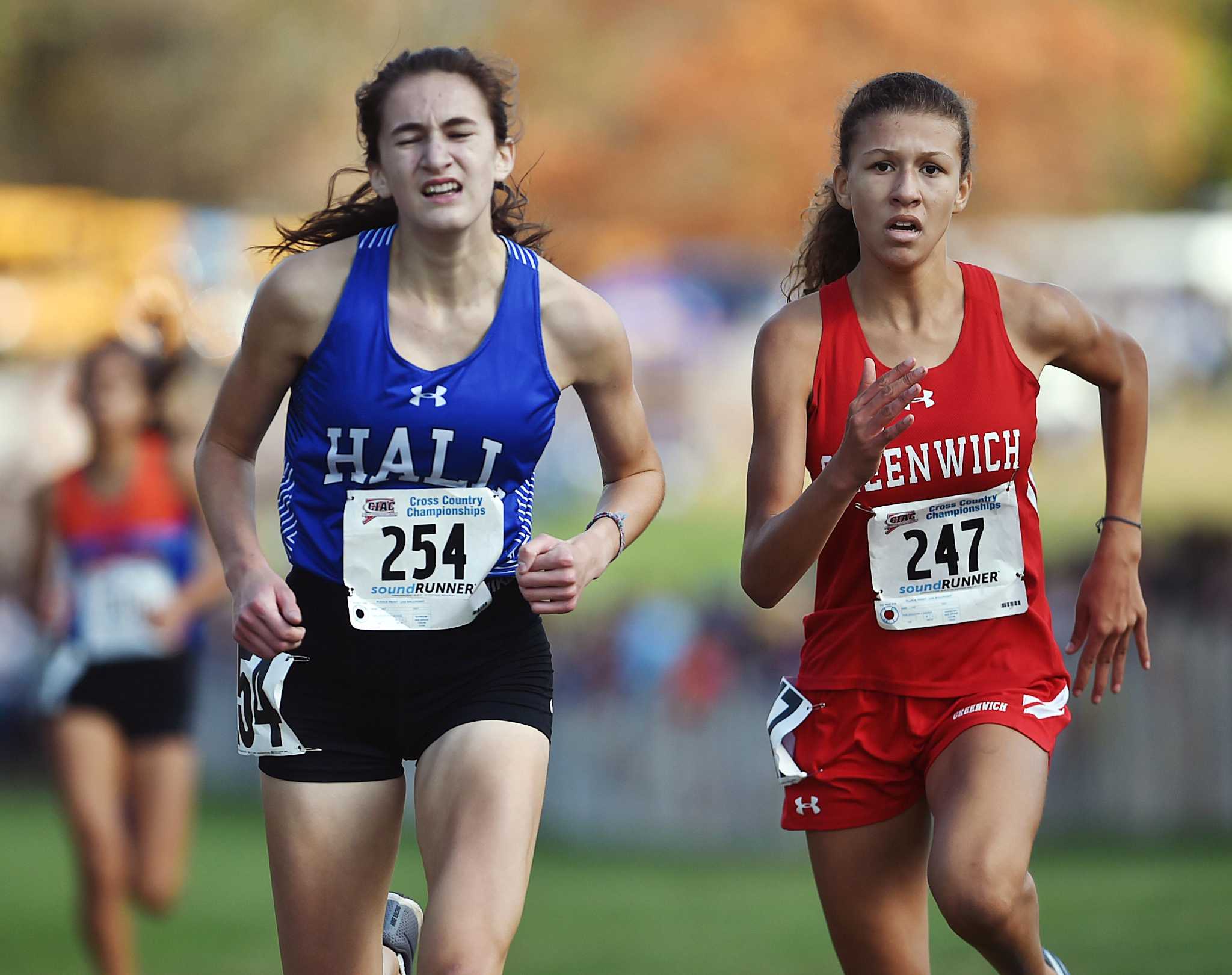 STATE CROSS COUNTRY CHAMPIONSHIPS