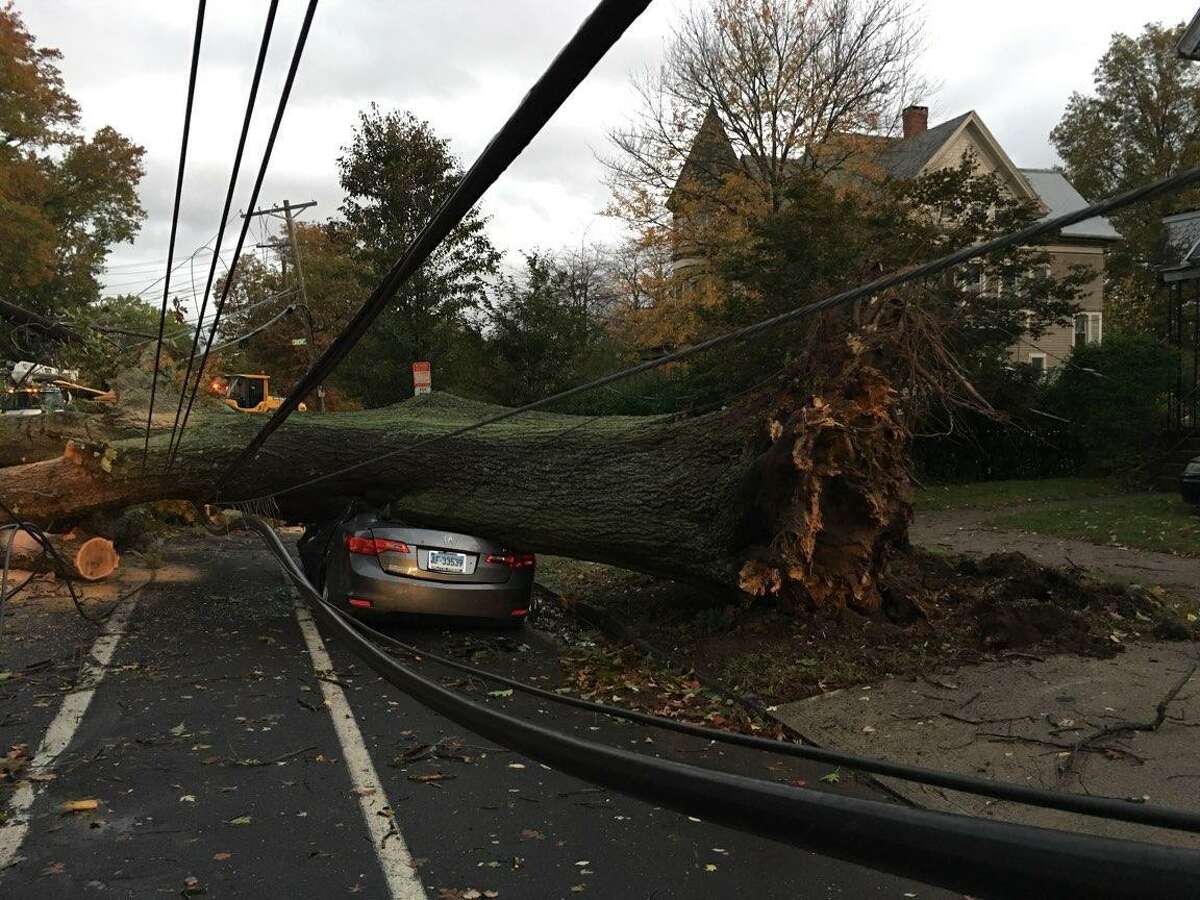 Vicious winds of 56 miles per hour downed trees in front of 66 Howard Ave. in New Haven Sunday night.