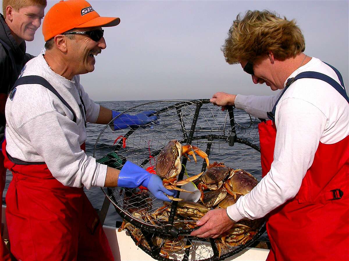 Doug Laughlin (left) shows off a sport-caught Dungeness crab to pal Bruce MacKimmie (right), with Pence MacKimmie at far left, among a nice haul in a pot fished off Half Moon Bay. Vintage photos of San Francisco's crab fishermen >>>>