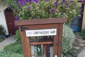 For a 3rd time, vandals trash Forest Hill's 'Little Free Library'