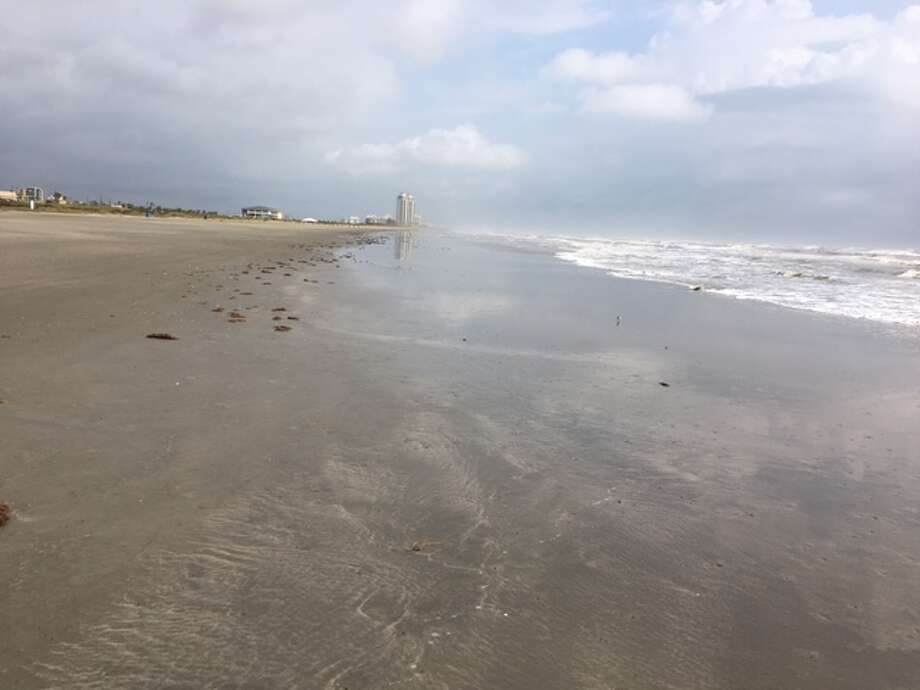 Somebody Threw This Baby Away Mystery Of Dead Child Prompts The Stretch Of Beach Where Body Was Found Is Not Considered Dangerous Photo