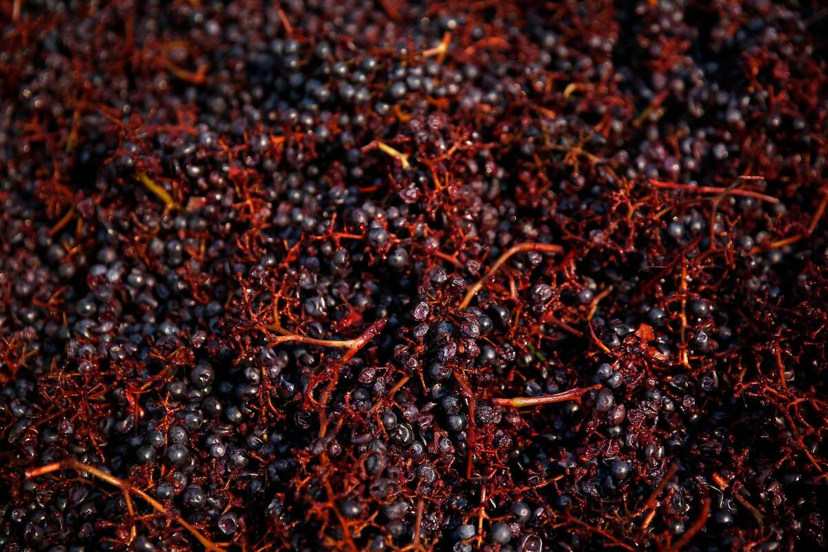 Fermenting grapes that still have their stems that survived the fire that burned around Jeffrey Mayo's property on Oct. 12, 2017 in Glen Ellen, Calif. The grapes had to be pressed "the old fashioned way" through stomping because the power was out, the stems will eventually be removed. Mayo, the owner of Mayo Family Winery, fled his home in Glen Ellen, taking a briefcase full of papers from his business and a case of the most valuable wine he owns. Miraculously, his home and the storage warehouse where he keeps and processes his wine both survived the fire. Mayo has been staying in his home without power or running water, regularly punching down the cap of fermenting grapes with a fellow winemaker and putting out spot fires in the area with his pool water. Mayo estimates that between his and his friend's business En Garde, there are almost 1 million dollars worth of fermenting grapes in their storage house that could have been spoiled or destroyed along with millions of dollars in barrels. Because they have no power, Mayo and Csaba Szakal of En Garde had to press their grapes "the old fashioned way" by stomping them with family members and they are now punching them down every few hours manually.