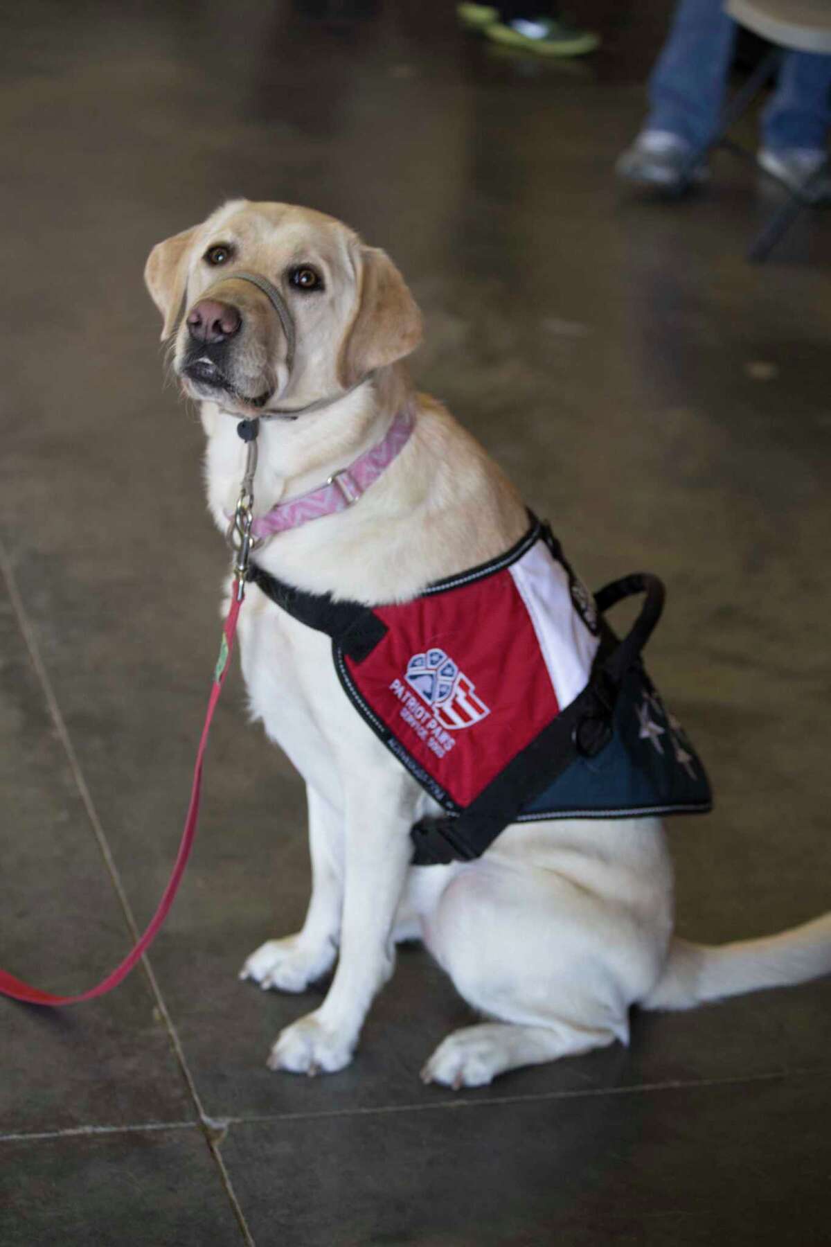 'Spaghetti sauce' ladies return to Nutcracker Market for 26th year
