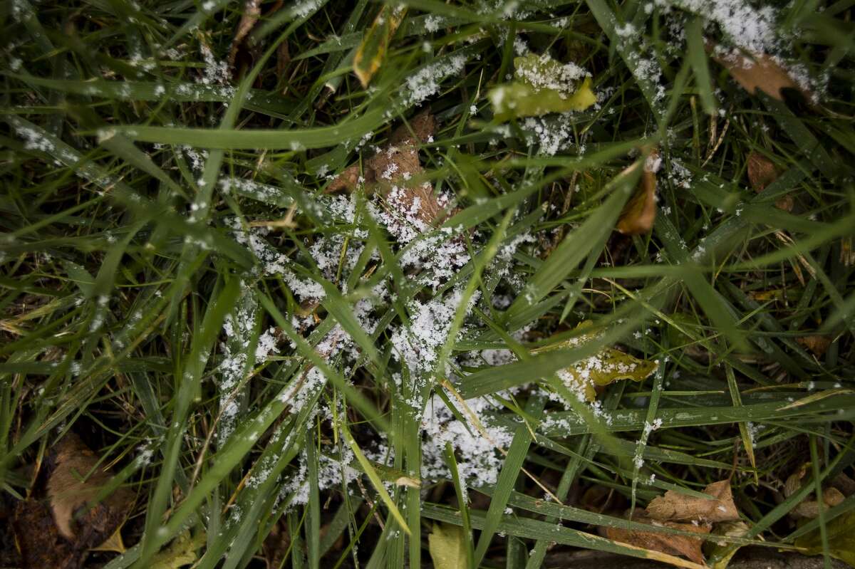 Snowflakes accumulate on grass in downtown Midland on Thursday, Nov. 9, 2017. (Katy Kildee/kkildee@mdn.net)