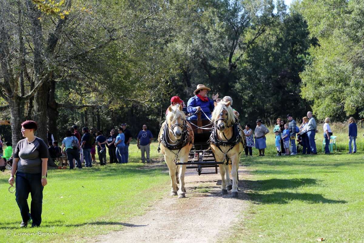 Visitors to the 27th annual Martyn Farm Harvest Festival will see sights that are uncommon today but were typical on farms 117 years ago, such as horse-drawn wagons and homemade toys.