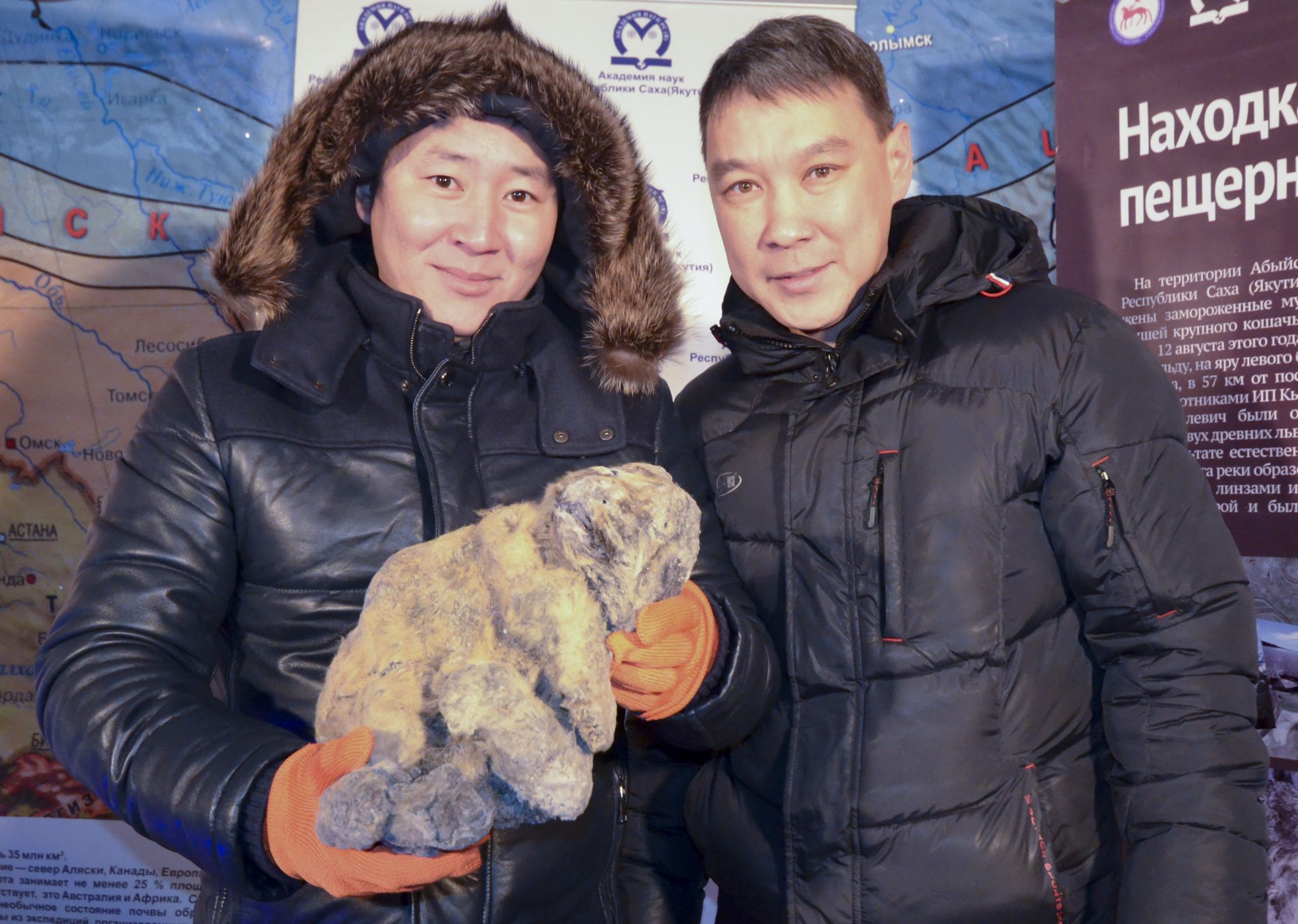 Russian Local Discovers Frozen Remains of Extinct Cave Lion Cub, Smart  News