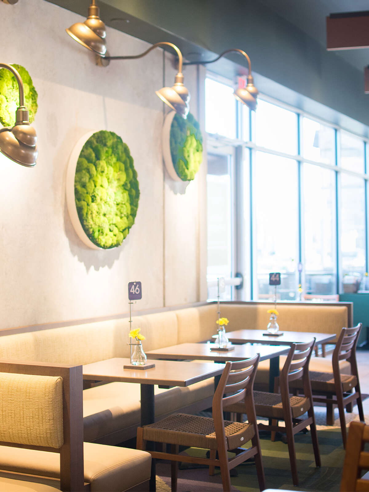 Best Restaurants In Webster Tx - dshkk8b