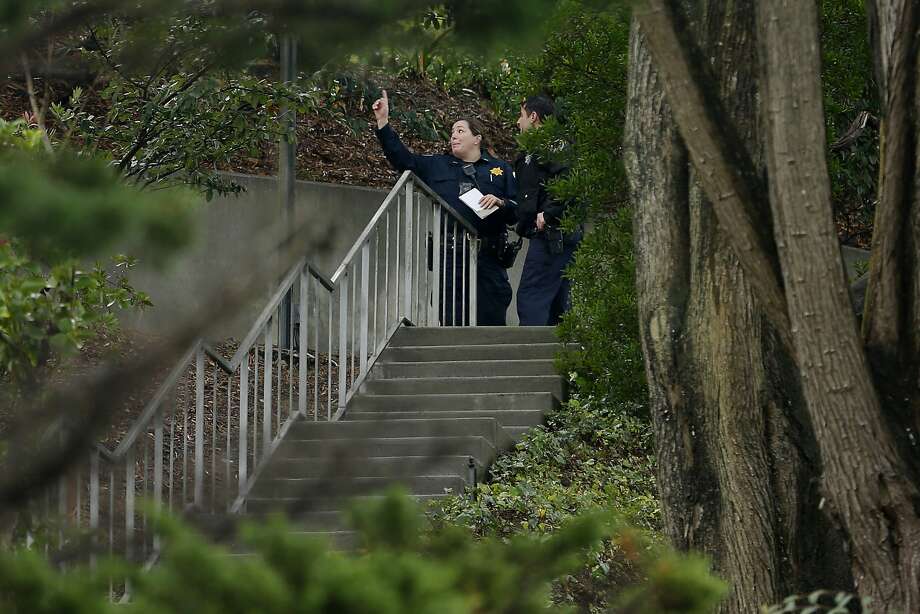 mountain lion shot with tranquilizer gun in sfs diamond heights