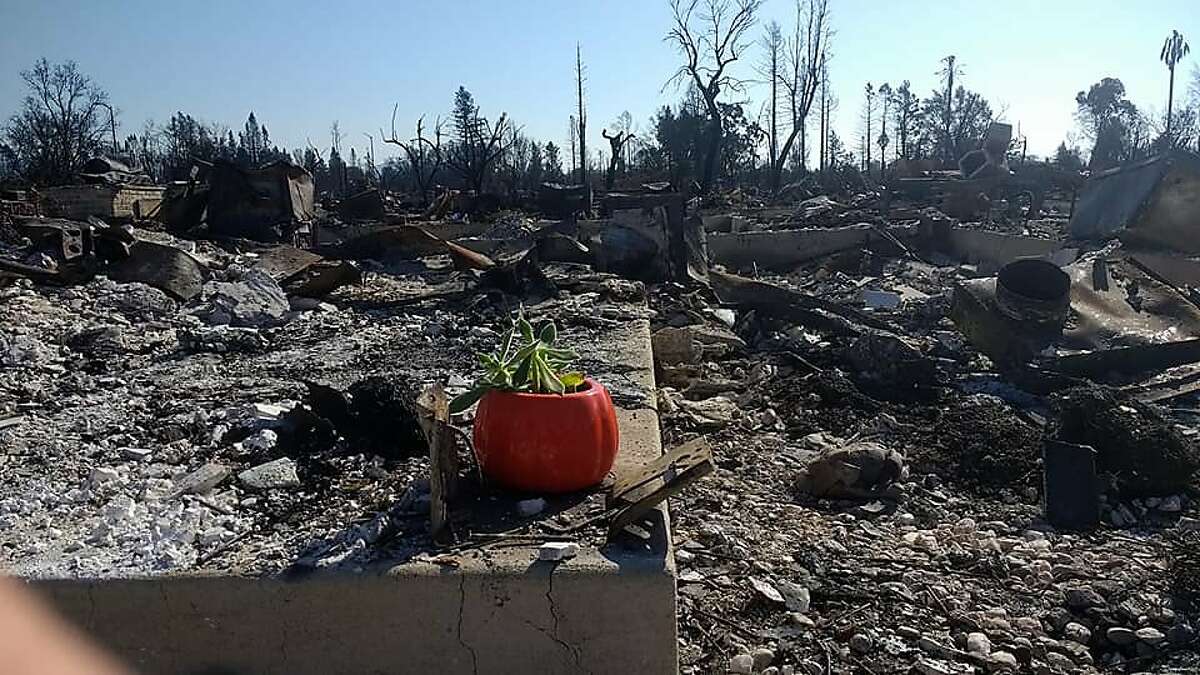 The remains of their house in Santa Rosa, which Kara Lemieux decorated with a pumpkin to try to celebrate Halloween.