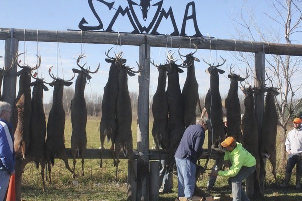 Mecosta County continues buck pole tradition
