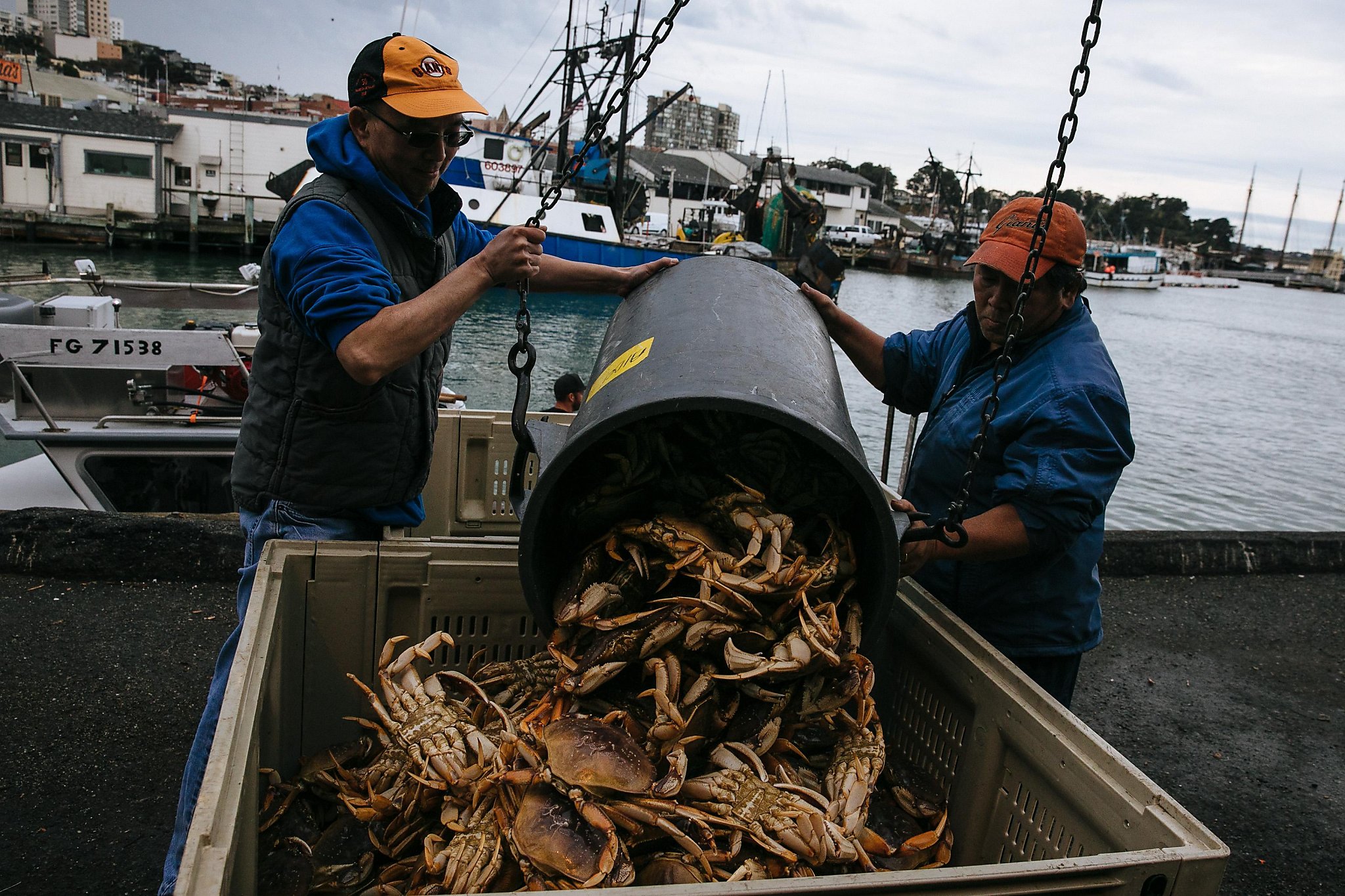 Dungeness crab season begins in the Bay Area