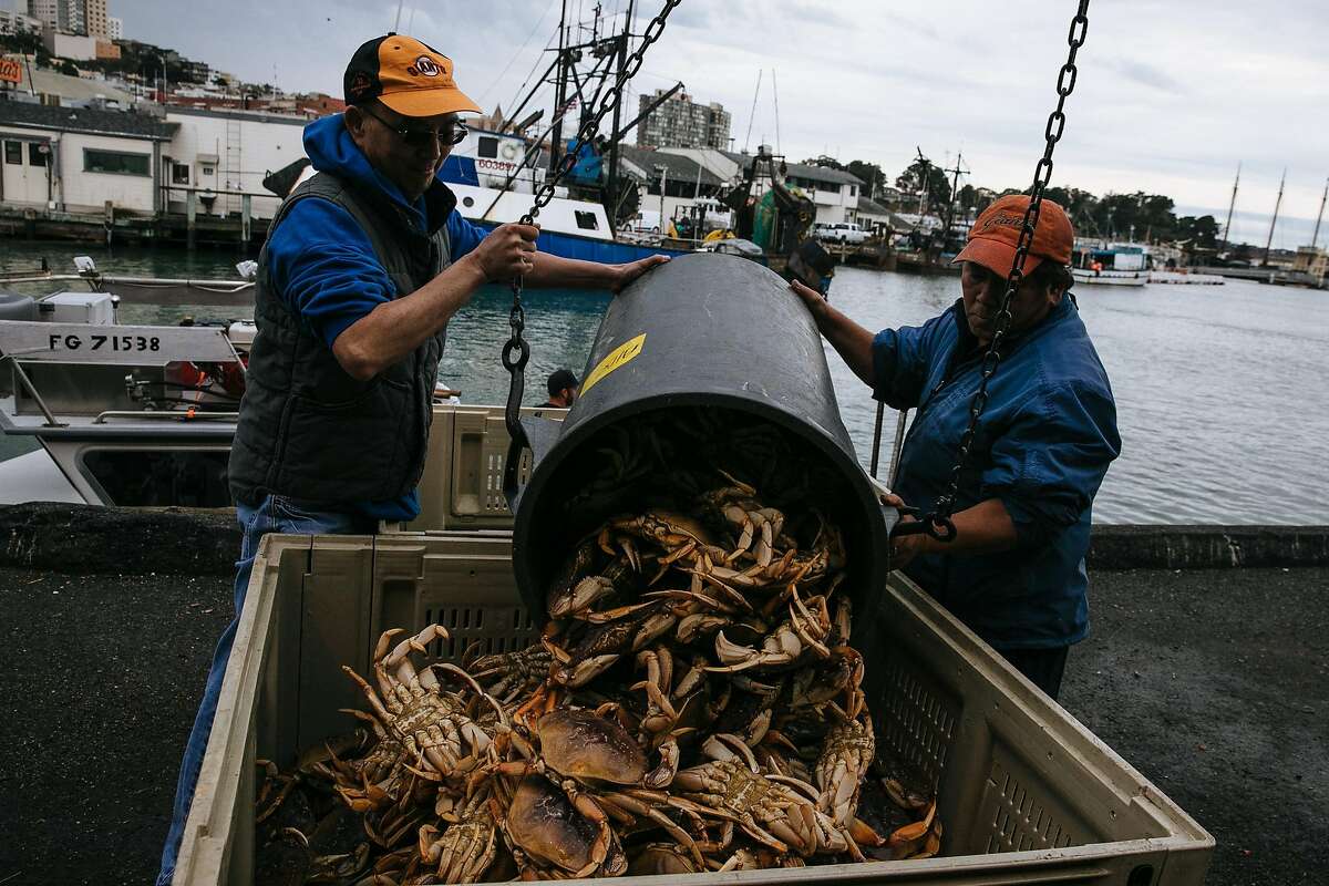 Peter Wong and Peter Nguyen unload Dungeness crab from The Off Shore at Pier 45 in San Francisco, Calif. Wednesday, November 15, 2017.