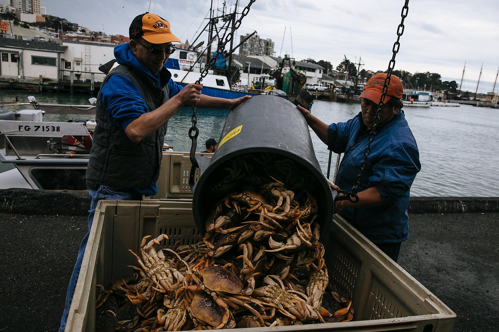 Dungeness crab season begins in the Bay Area - SFChronicle.com