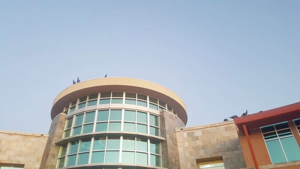Turkeys seen on the roof of a hospital in Fairfield. Photo: Sherry Carter 