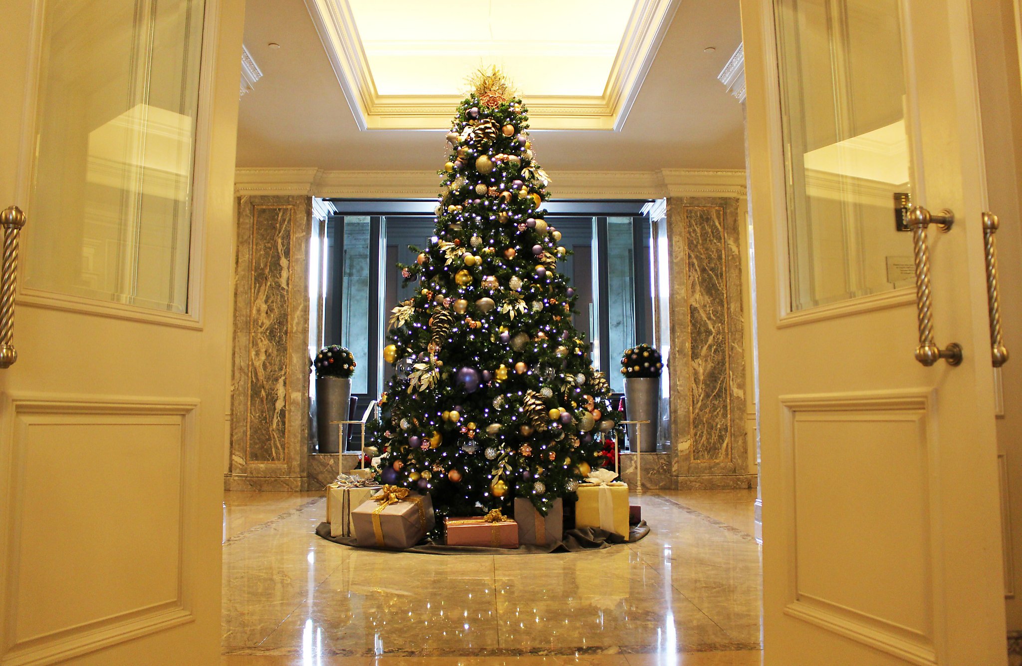 Ritz Carlton Christmas Tea 2022 Teddy Bear Tea At S.f.'s Ritz-Carlton