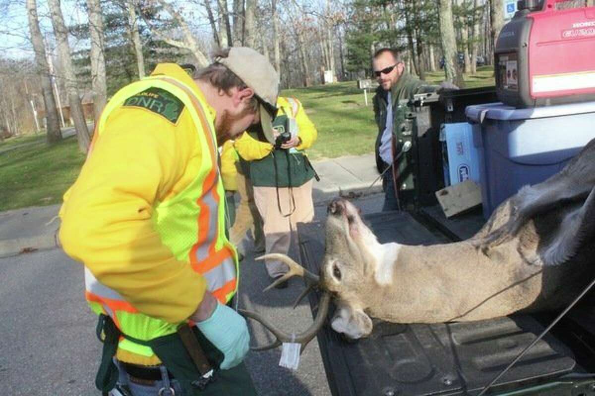 Deer hunters encouraged to stop at DNR check stations