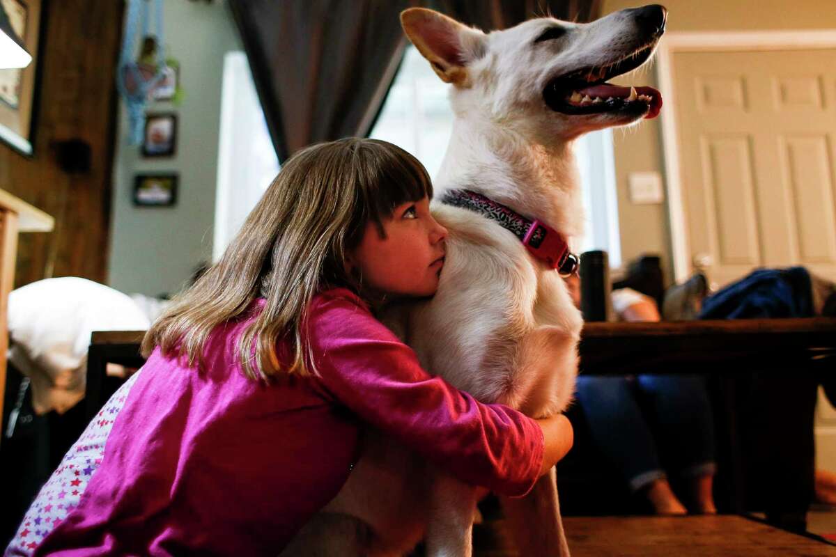 Ava Pettit, 8, left, hugs the family dog, Zoe, Tuesday, June 27, 2017 in Webster. About a year ago Zoe bit Ava in the face while jumping for a treat. Ava's parents rushed her to a hospital in their insurance network, but while there, four out of the five doctors who treated Ava were not in network, leaving the family with a $5000 bill. The family ended up paying $3600 after negotiations. ( Michael Ciaglo / Houston Chronicle )