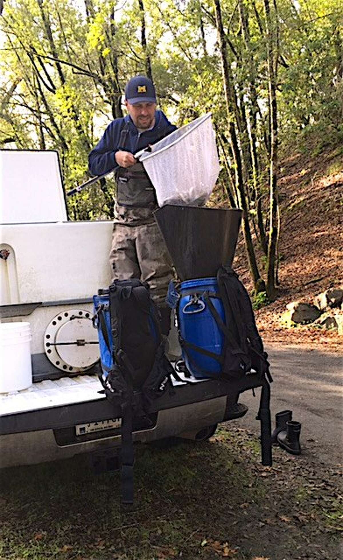 A volunteers loads coho salmon smolt into a container in a backpage, for transport to Porter Creek, a tributary to the Russian River in Sonoma County, to help jump-start the river's coho restoration