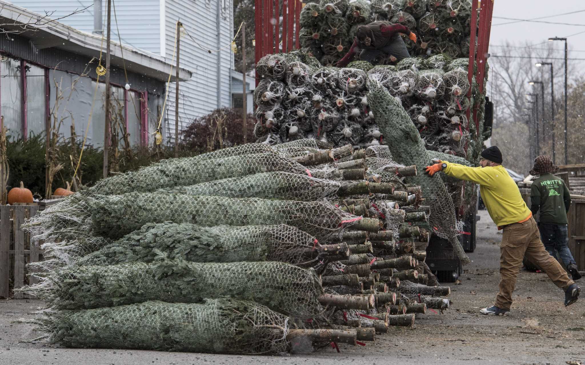 Former Hewitt's garden center eyeing new home