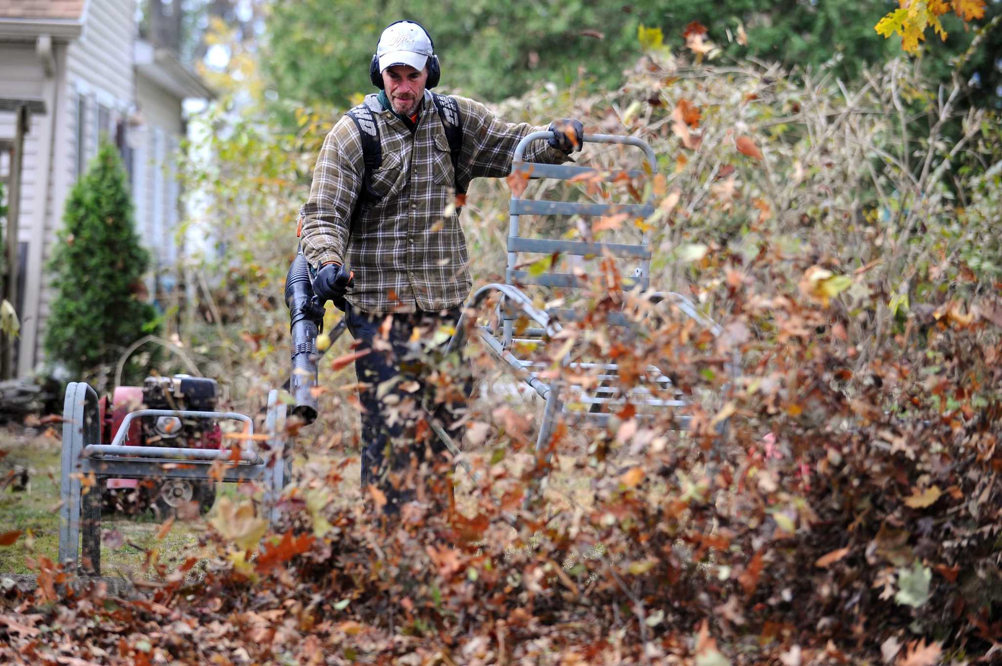 Stamford’s leaf pickup army in middle of autumn cleanup