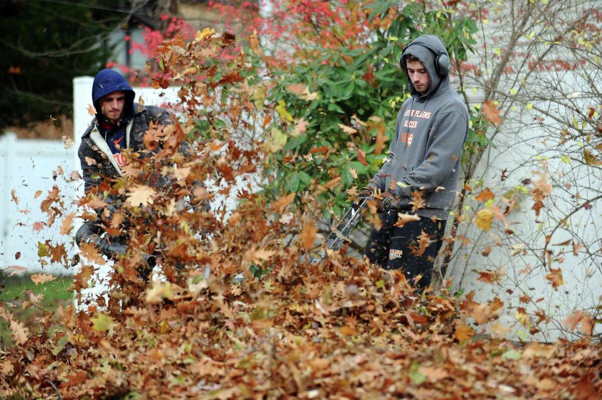 Change Will Have Stamford Residents Bagging Leaves This Fall