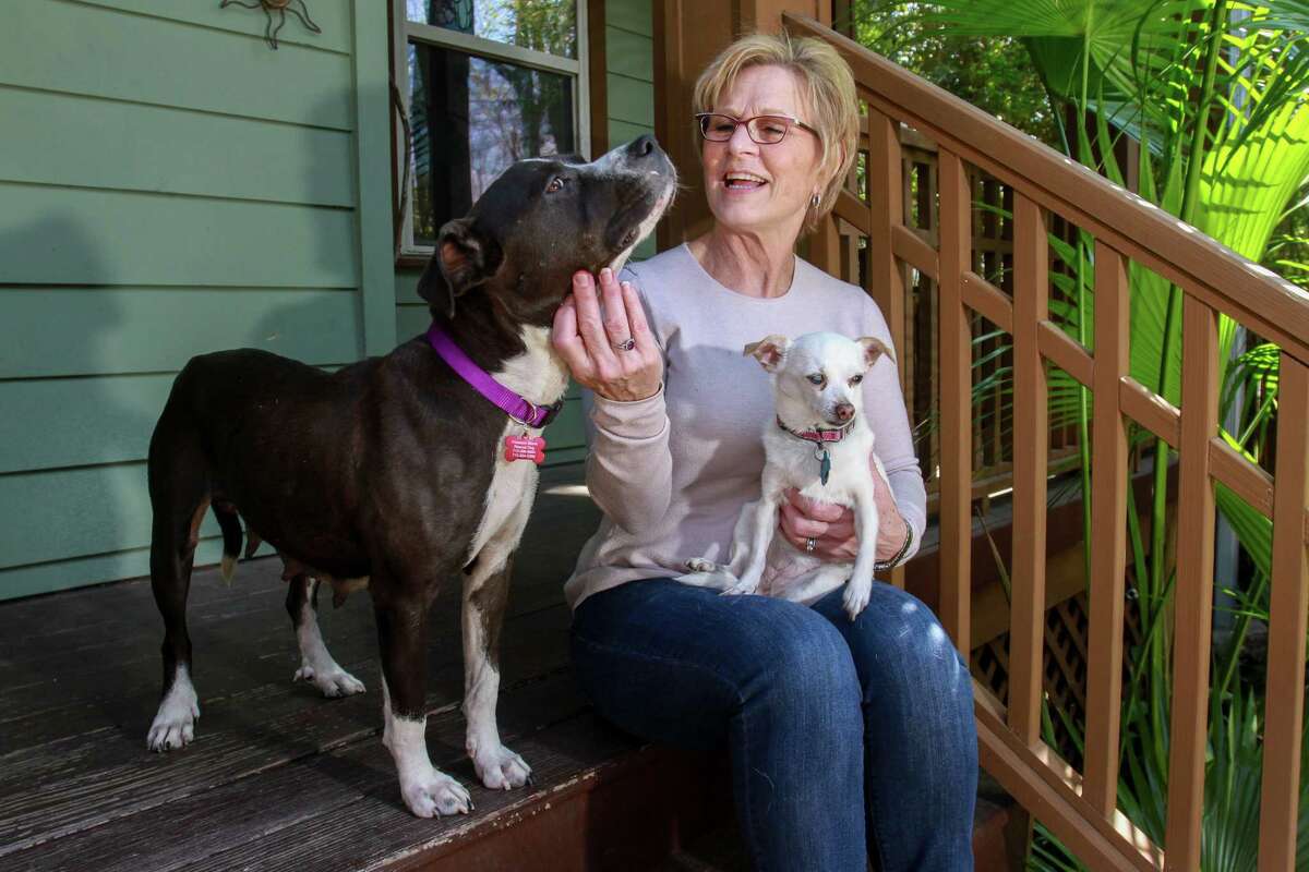 Rhonda Barron - holding her dog, Anna, ﻿while petting Stella, a rescued pitbull -﻿ rescues and helps transport pets to other states for adoption.﻿ Rhonda Barron - holding her dog, Anna, ﻿while petting Stella, a rescued pitbull -﻿ rescues and helps transport pets to other states for adoption.﻿