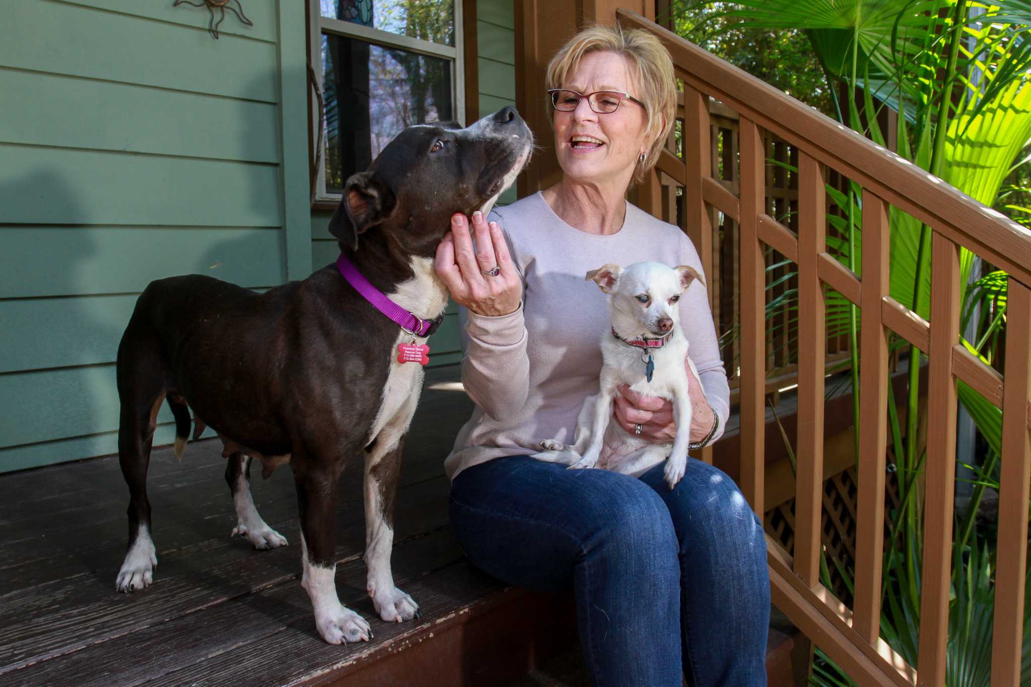 Rhonda Barron finds adoptive homes for Harvey-affected pets