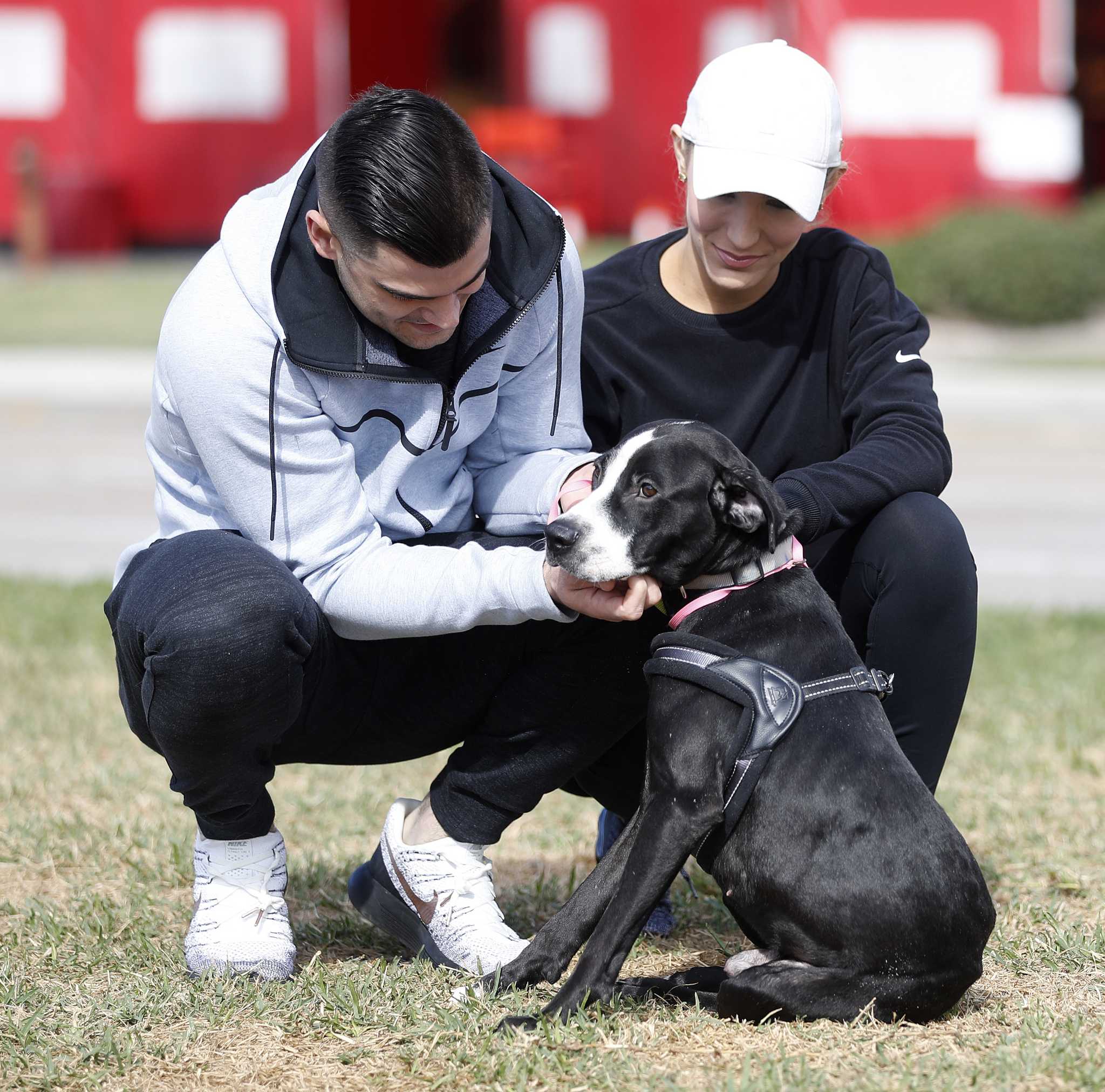 Meet Houston Astros pitcher Lance McCullers Jr.'s 3 adorable dogs - ABC13  Houston