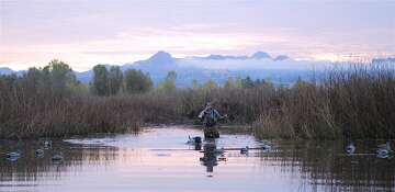 A World Apart On The Butte Sink Marsh Sfchronicle Com